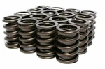 Stage Valve Springs SET/16 Ford 289 302 5.0L 351W V8 Up To .525 Lift Cam New. Price: $76.48.