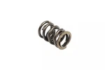 Genuine Mopar Valve Spring P4876062 New. Price: $33.99.