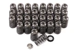 Gsc P-d Conical Valve Spring And Ti Retainer Ford Mustang 5.0L Coyote Gen 3 New. Price: $818.43.