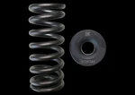 Brian Crower BC0089S Valve Springs Steel Retainer Kit For Honda L15 New. Price: $195.00.