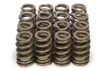 Racing Springs 1.250 Valve Ovate Beehive (16) PAC-1283-16 New. Price: $248.95.
