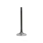 Engine Intake Valve-dohc, 16 Valves Dnj IV520 New. Price: $9.99.
