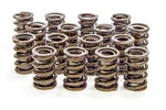 Isky 9005 1.530IN Valve Springs New. Price: $255.73.