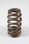 Pac Racing Springs 1219-16 1200 Series Beehive Valve Od: 1.207 New. Price: $225.60.