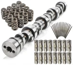 Sloppy Stage Cam Lifters Springs Push Rods +80HP Chevy Ls 5.3 6.0 6.2 LM7 New. Price: $377.48.