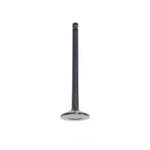 Engine Exhaust Valve-dohc, 16 Valves Dnj EV122 New. Price: $19.07.