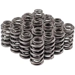 Melling 46656-16 High Performance Valve Spring New. Price: $182.62.