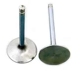 Brodix BR81140 Intake Valve New. Price: $49.99.