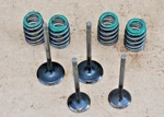 2019-2025 Subaru 2.5L X2 Intake And Exhaust Valve With Spring Used. Price: $35.55.