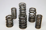 Ferrea Fits Infiniti VR30DDTT Single Valve Spring - Set Of 24 S10169 New. Price: $607.26.