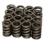 Elgin Valve Spring Set RV-100942Q16; Sngl W/damper 113LBS 1.7 In. 1.437 Od New. Price: $93.11.