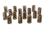 Racing PAC-1201-16 1.260 Single Valve Springs W/damper (16) New. Price: $249.10.