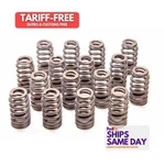 Ford M-6513-M50BR, Set Of 16 Boss 302R Valve Spring Kit 2011-UP 5.0L Engine New. Price: $98.56.