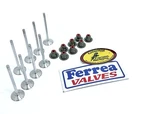 Ferrea Intake & Exhaust Valves Seals Kit Polaris Rzr Turbo RS1 New. Price: $303.99.