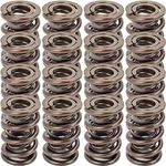 Manley 221432-16 Nextek Oval Track/endurance Valve Springs New. Price: $468.14.