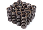 Blox Racing Valve Springs For D-series Sohc D16Z-Y8 (1.6L Vtec) New. Price: $166.40.