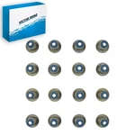 Victor Reinz Engine Valve Stem Oil Seal Set 2002-2005 Ford Explorer 4.6L V8 New. Price: $39.75.