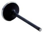 Enginetech V4446 Intake Valve 2000-2008 Ford/jaguar 3.0L New. Price: $27.48.