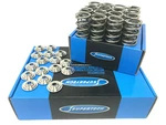Supertech Dual Springs Titanium Retainers Kit Honda B-series B16A B18C Vtec 70LB New. Price: $489.00.