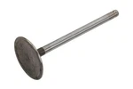 Genuine Gm Engine Intake Valve 12577696 New. Price: $54.46.