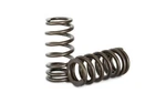 Kelford Cams Barra Ba-fgx Valve Spring Set (KVS40) Brand. Price: $374.87.