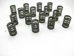 (X16) Engine Valve Spring Pioneer RV-1011 New. Price: $35.89.