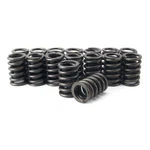 STAGE-4 Dual Valve Springs SET/16 For Chevy Bb 396 402 427 454 Up To .600 Lift New. Price: $130.24.