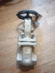 Crane CF8-FE 1/4" Stainless Steel Gate Valve 114-SP Class 150 New. Price: $200.00.