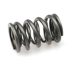 Brian Crower Inc BC1050 Valve Springs New. Price: $105.02.