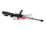 Fast FT11126 Shock Absorber Ford Neu. Price: $84.96.