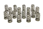 Racing Springs 1.589 Valve Ovate Beehive (16)- PAC-1295X-16 New. Price: $430.59.