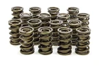 Isky Cams Valve For Tool Room Set 9995, Dual Spring, 510 Lb/in, 1.570 New. Price: $598.28.