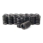 Engine Pro Sbc Chevy 283 305 307 350 400 Valve Spring Set Z-28 .500 Lift New. Price: $82.99.