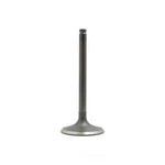 Engine Intake Valve-sohc, Valves Dnj IV108 New. Price: $9.99.