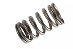 Genuine Acdelco Engine Valve Spring 98025825 New. Price: $19.56.