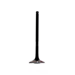 Engine Exhaust Valve-dohc, Code: 5SFE, 16 Valves Dnj EV907 New. Price: $18.56.