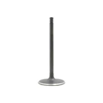 Dnj IV1162 Intake Valve Fits 2006-2010 Jeep Grand Cherokee 05-10 Chrysler 300 New. Price: $33.99.
