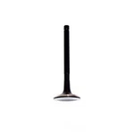 Engine Exhaust Valve-sohc, Code: 3VZE, 12 Valves Dnj EV950 New. Price: $17.27.