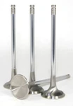 Gsc Power Division 2027-8 Chrome Polished Exhaust Valve For 4B11T Set New. Price: $254.95.