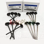 BM5Z-6505-B 2013-2017 Ford Fusion 1.5L 1.6L Engine Exhaust Intake Valve Set New. Price: $66.89.
