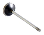 Enginetech Chrome Stem Exhaust Valve Pack Of 1 Direct Fit New. Price: $44.99.
