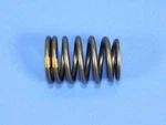 Engine Valve Spring Mopar 53021775AC New. Price: $41.61.