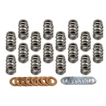 Manley 1.311 Nextek Dual Valve Springs- 221431-16 New. Price: $494.21.