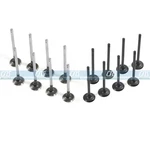 Intake & Exhaust Valves Kit For 04-08 Gm Chevrolet AVEO5 1.6L Dohc Vin "6" New. Price: $61.25.