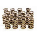 Isky 9375PLUS Valve Plus-series Dual Spring/damper 480 Lb/in Rate New. Price: $422.74.