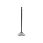 Engine Intake Valve-dohc, Code: GA16DE, Valves Dnj IV641 New. Price: $15.34.