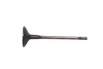 New Oem Ford 5L1Z-6505-A Exhaust Valve Nos. Price: $16.50.