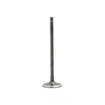 Engine Intake Valve Dnj IV928 New. Price: $9.99.