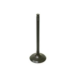 Bronco Exhaust Valve Pc AU-09166E New. Price: $14.95.