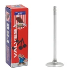 Dnj Engine Intake Valves P# IV802 (fits Specific Audi & Volkswagen) New. Price: $9.99.
